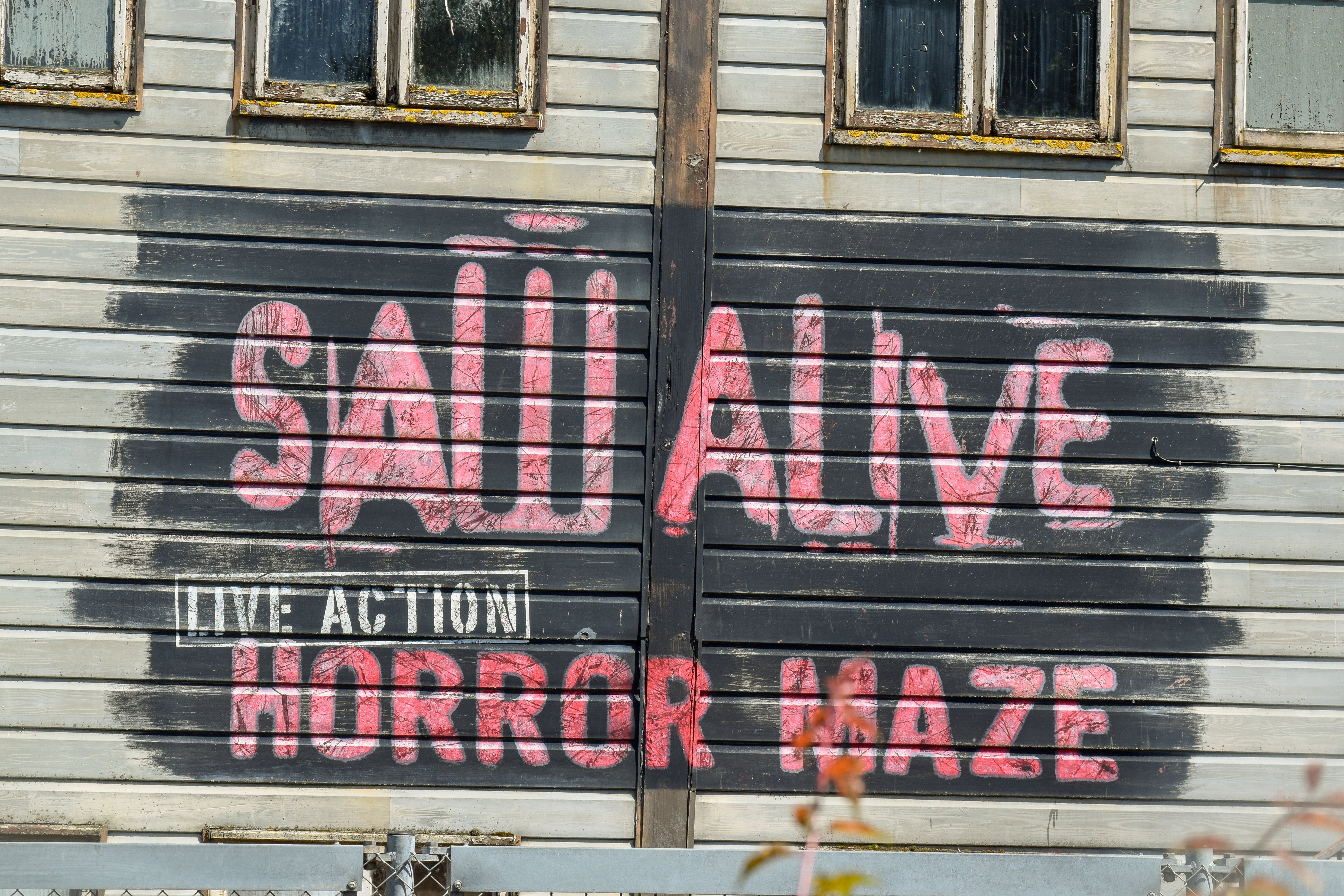 Saw Alive Opens!