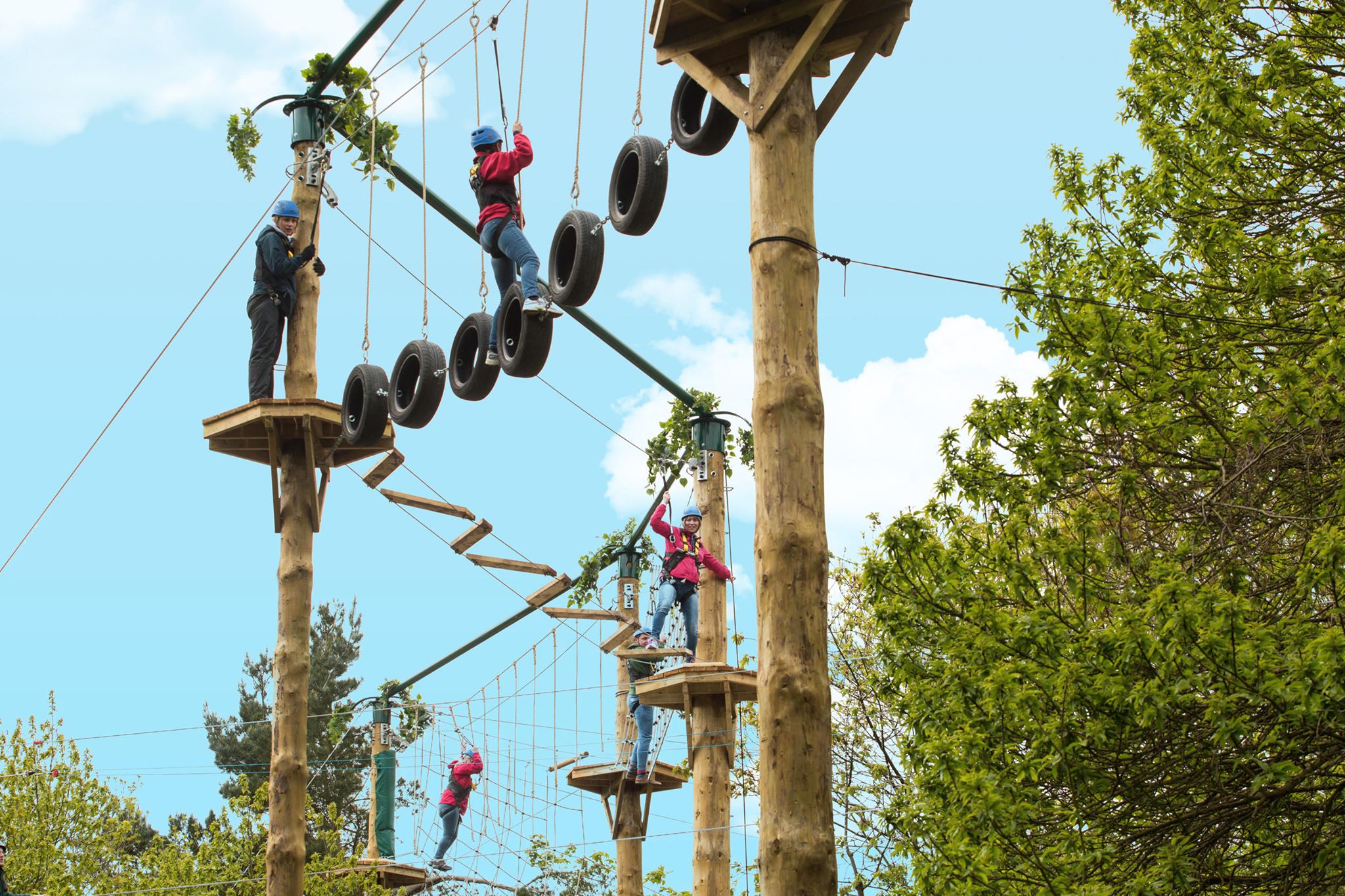 Tree Top Quest Reopens For Summer