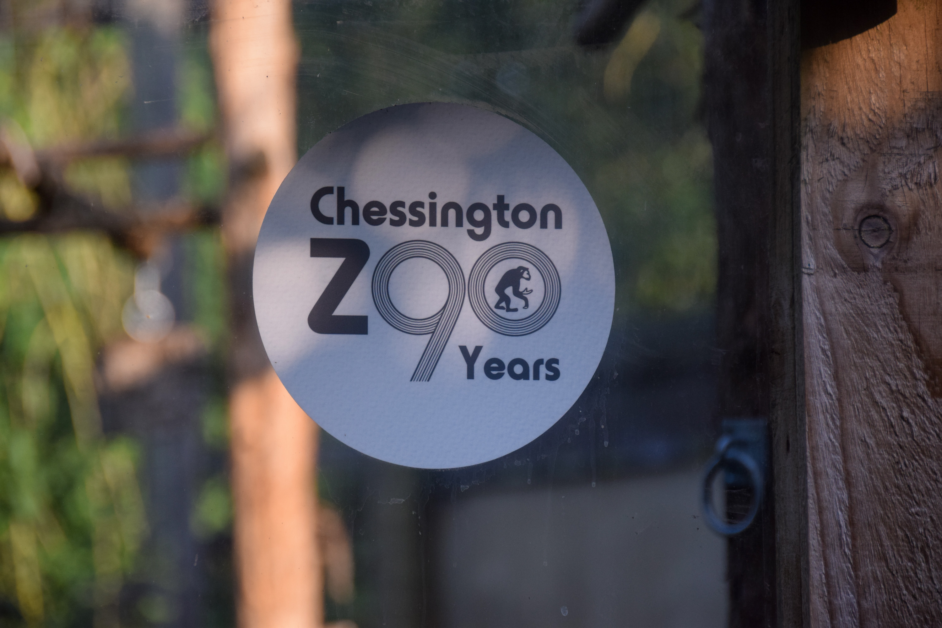 Chessington Zoo Turns 90 Years Old