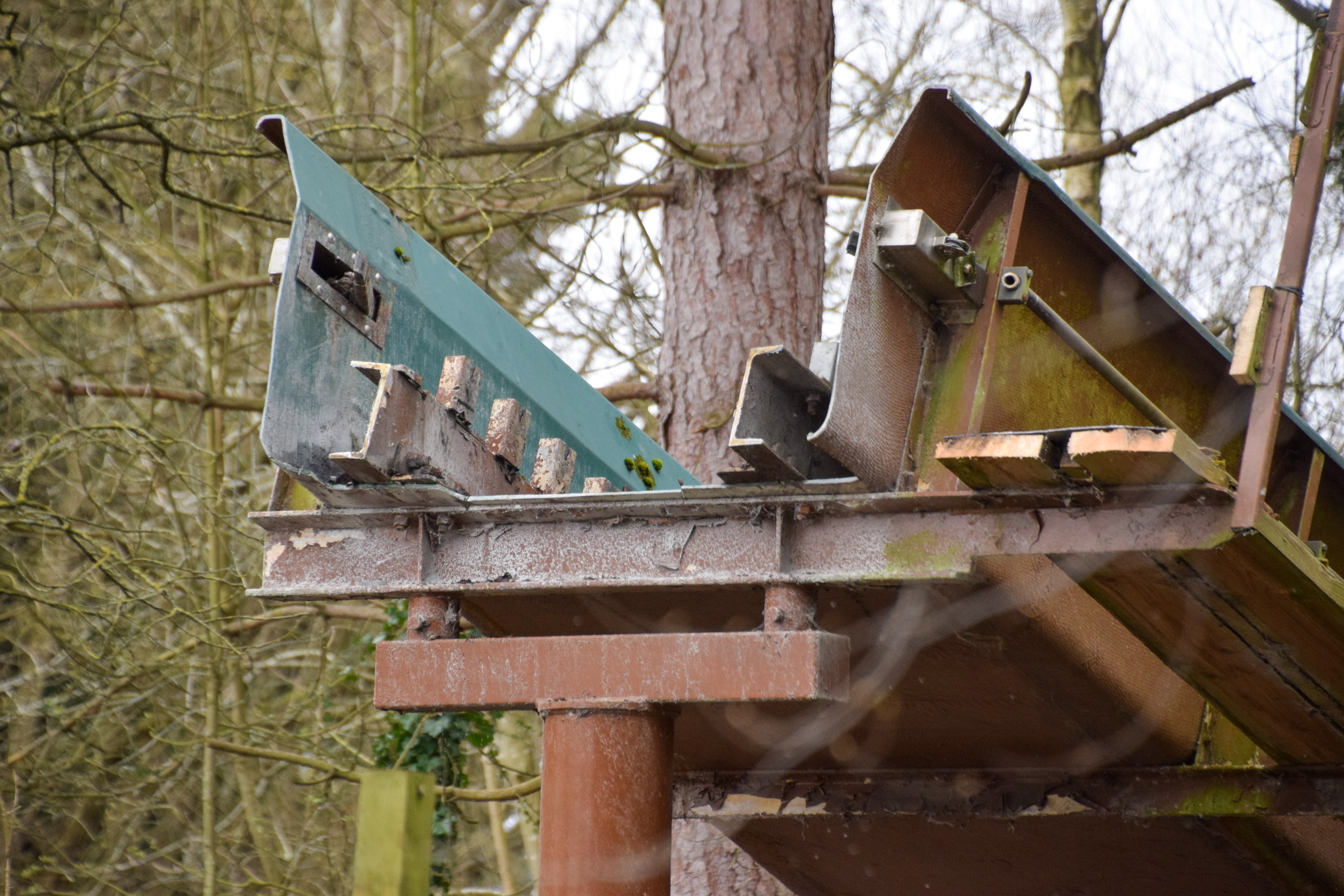 Loggers Leap Removal Almost Complete And Ride Testing Continues