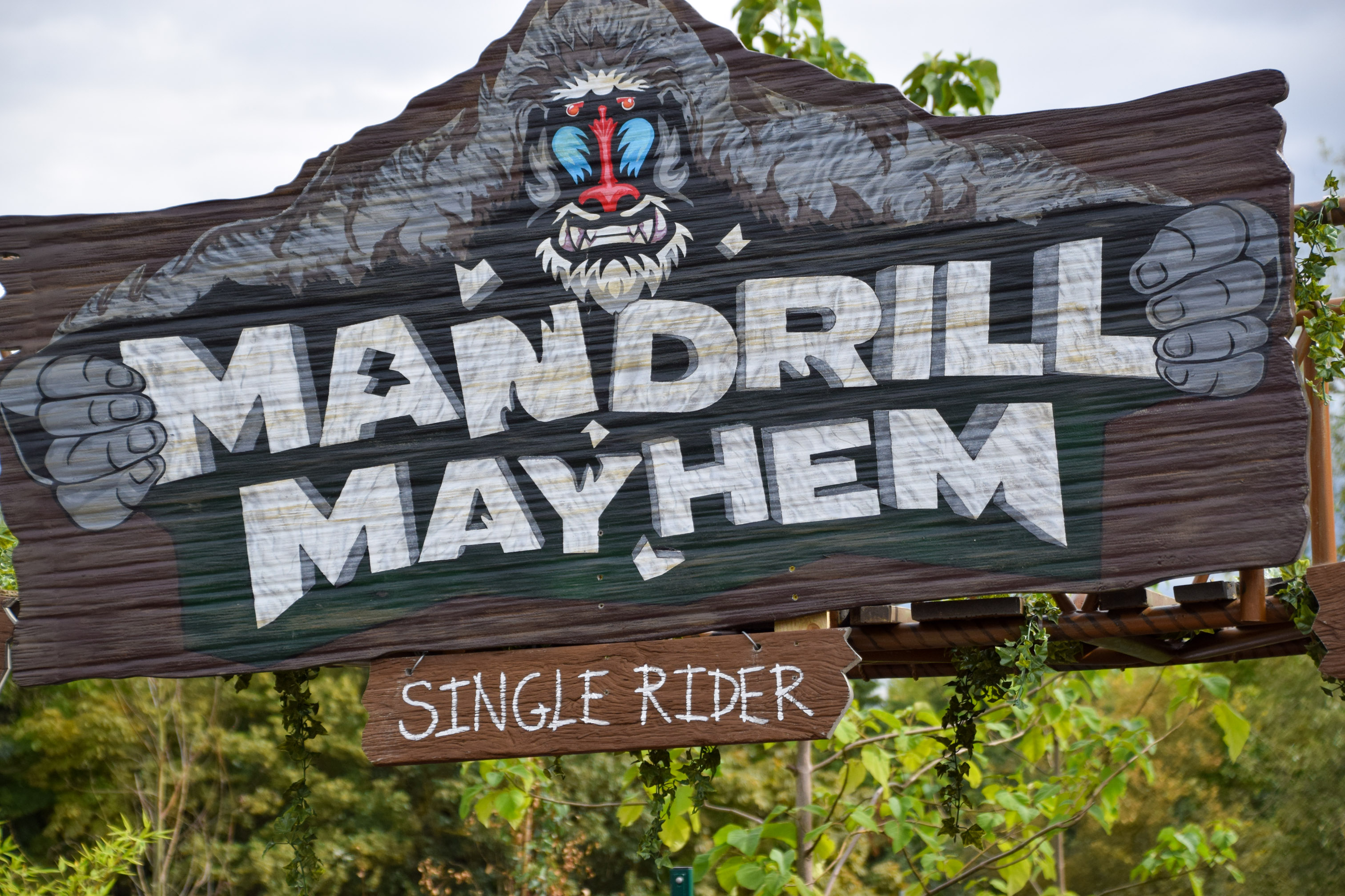 Single Rider Installed For Mandrill Mayhem
