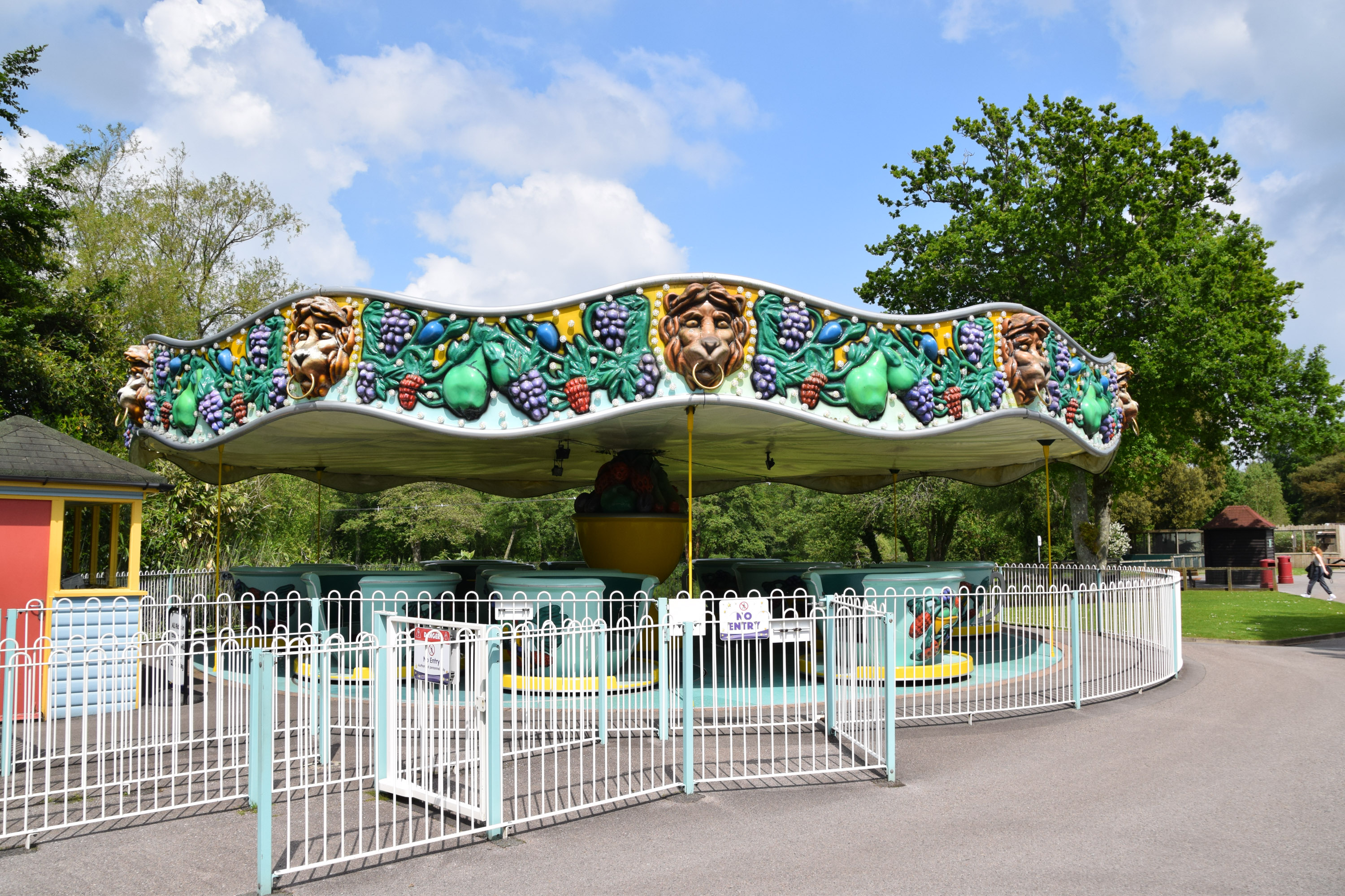 Teacup Ride