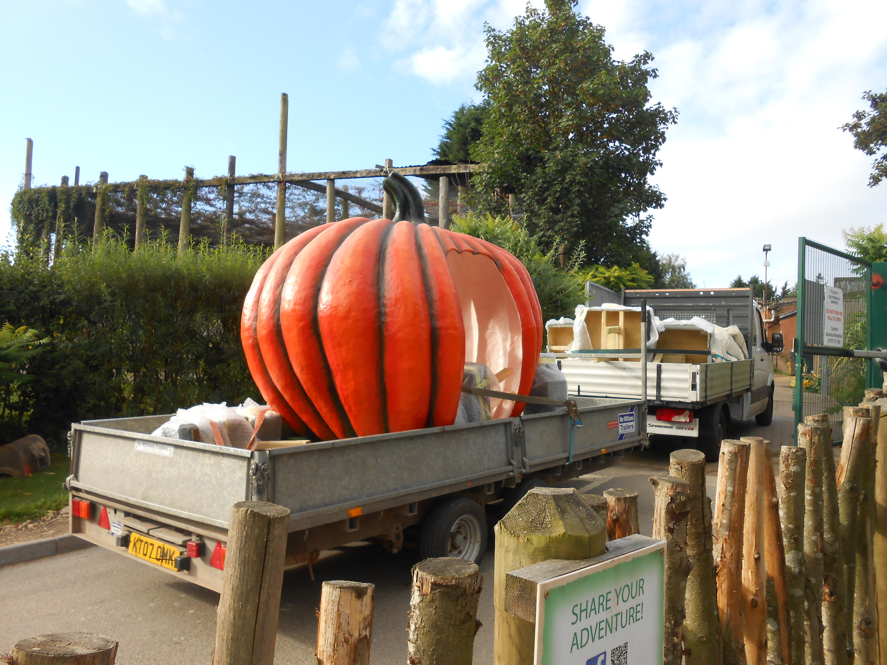 Halloween Hocus Pocus delivery