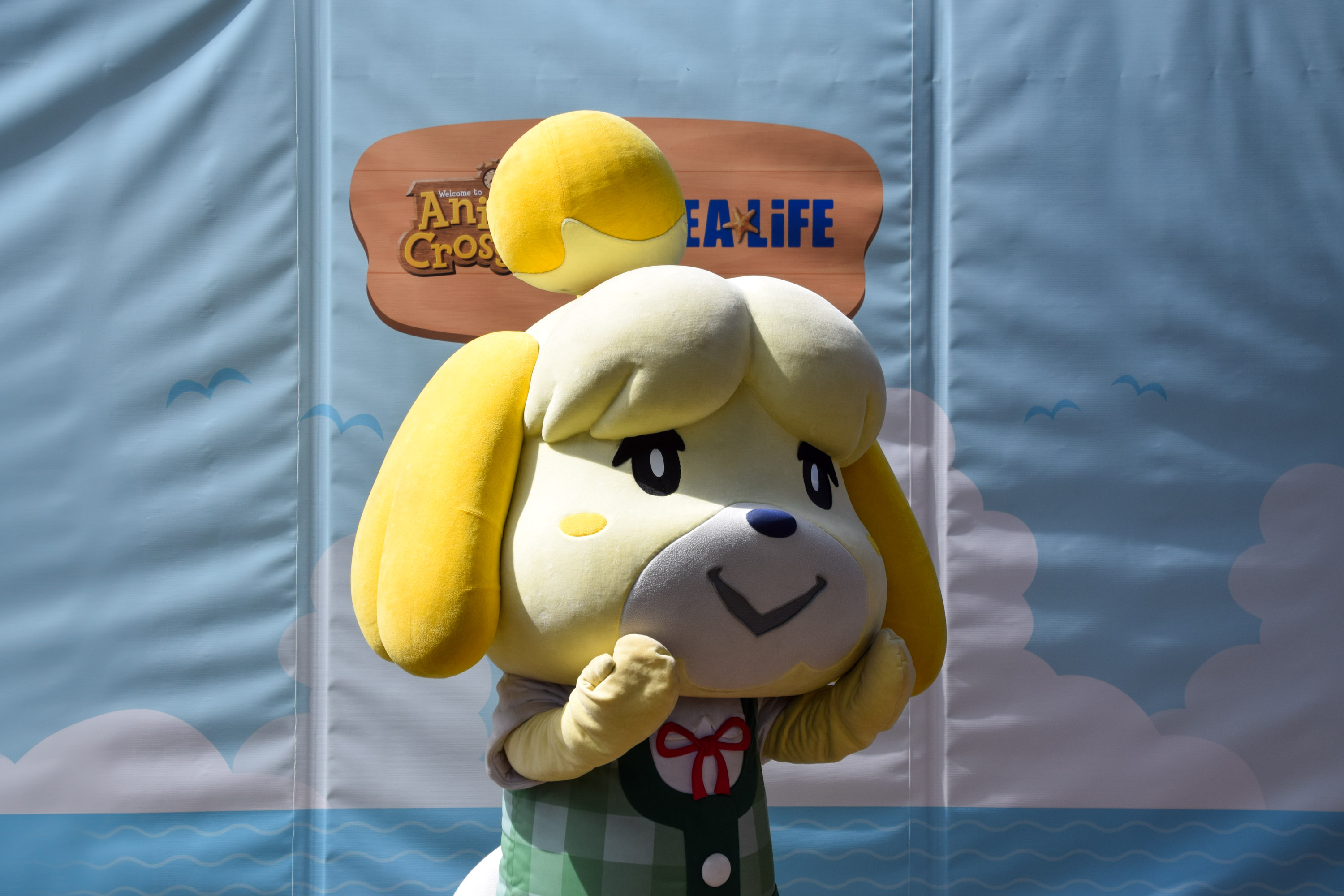 Animal Crossing Makes a Splash at Chessington