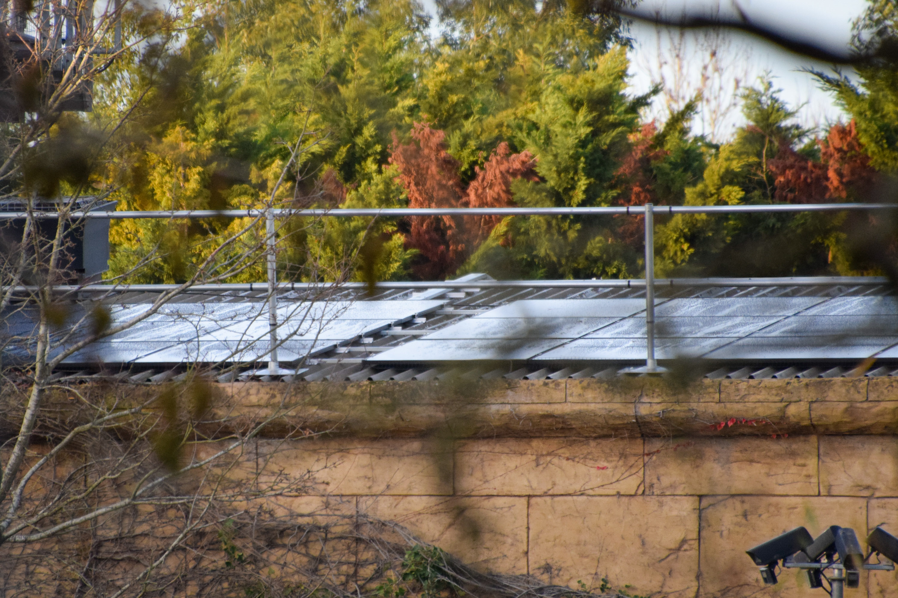 Chessington 2025 Closed Season Progress Report