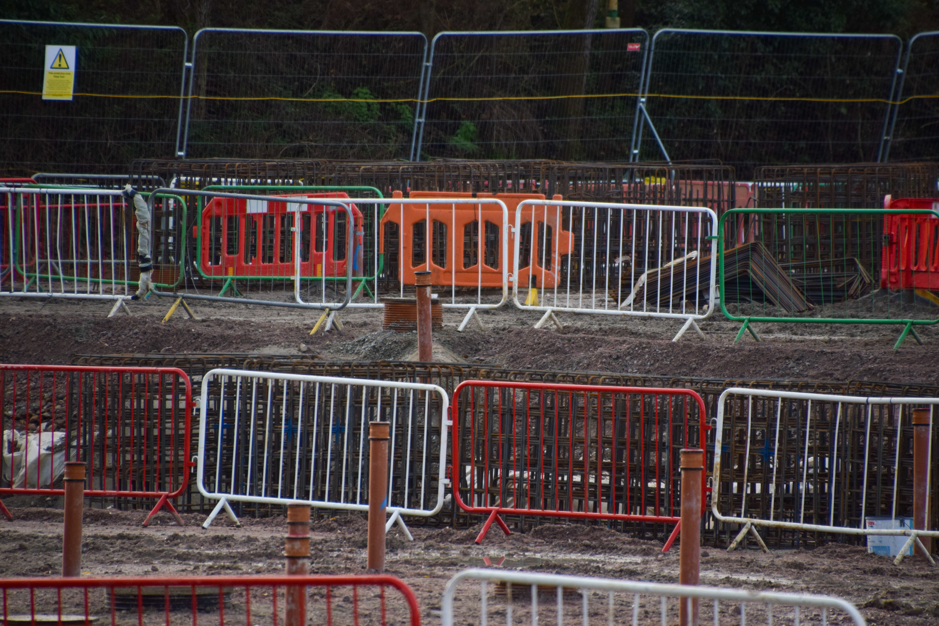 Wild Asia Replacement Progresses as Foundation Rebar Cages Appear