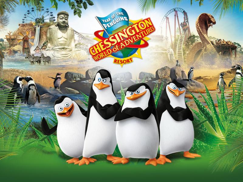 Penguins Live: Operation Cheezy Dibbles