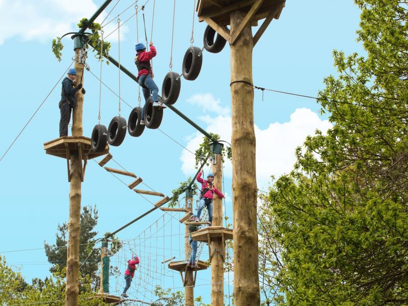 Tree Top Quest Reopens For Summer