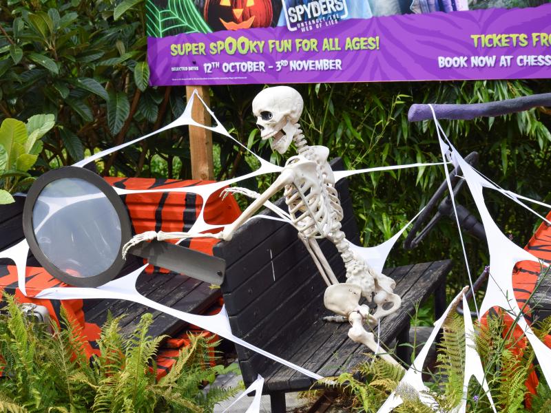 Chessington 2019 Howl’o’ween Lineup Announced