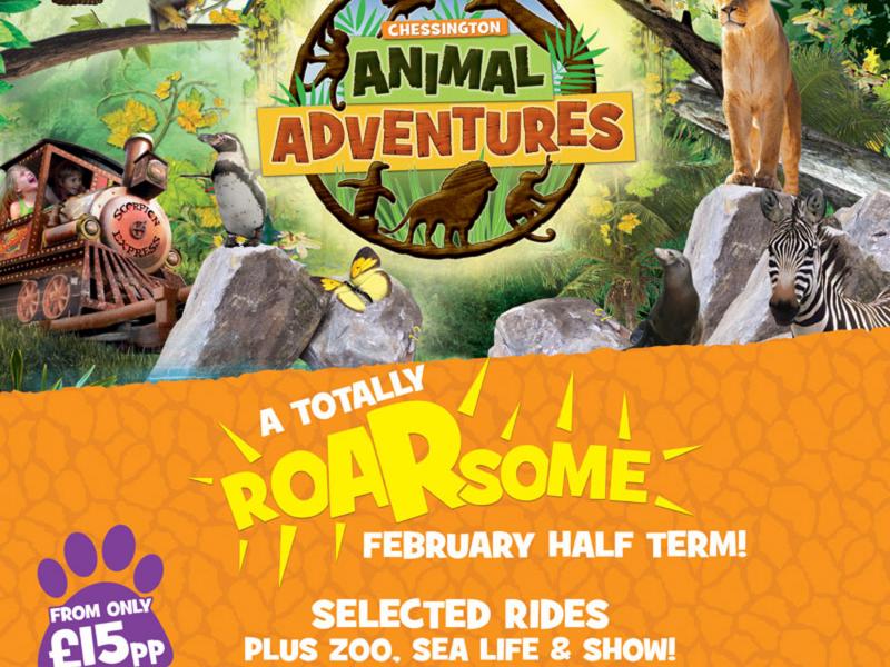 Animal Adventures Returns For 2020 February Half Term