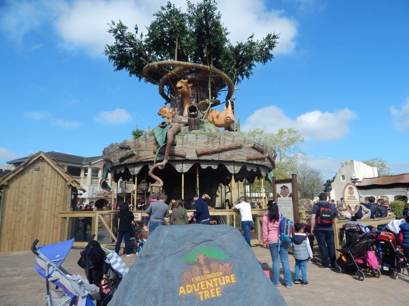 Adventure tree carousel opens