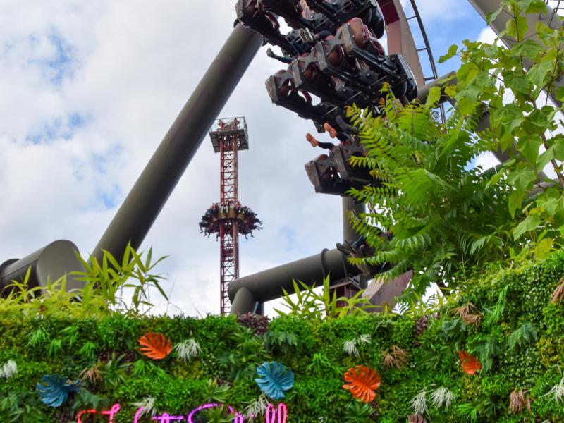 Nemesis Inferno Hot Stuff Photo Wall