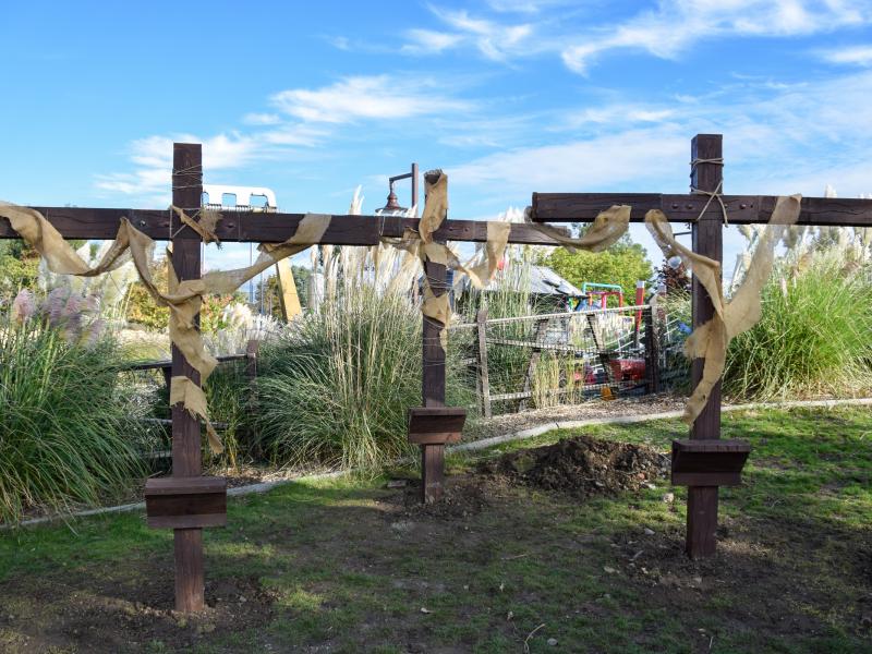 2021 Halloween Coverage