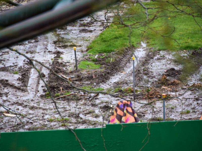 Work on Project Amazon Officially Begins