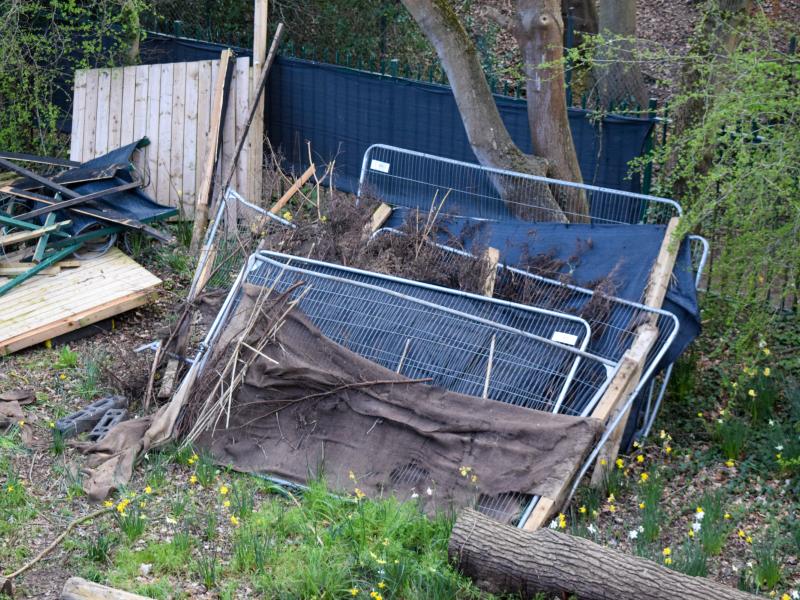 Roots Of Evil Maze Removed For Access Path