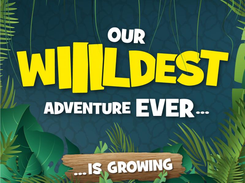 Chessington Begins Advertising For 2023 Rollercoaster