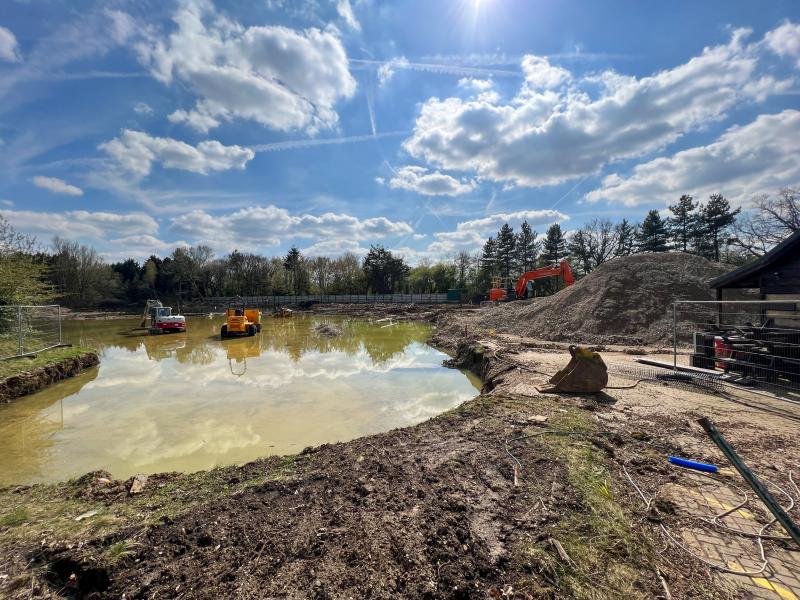 Loggers Leap Fights Back