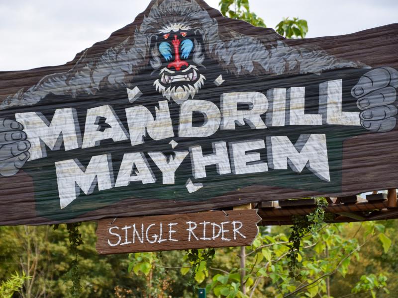 Single Rider Installed For Mandrill Mayhem