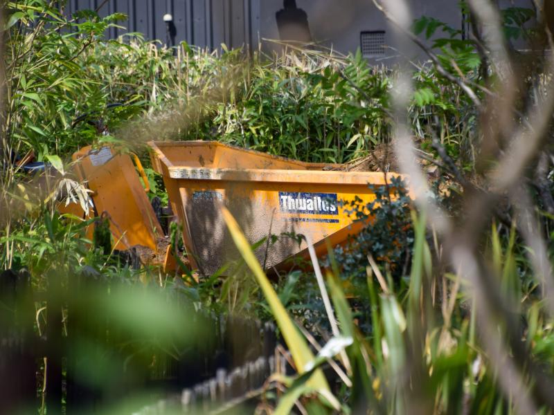 Thorpe Park 2025 Ride Construction Begins?