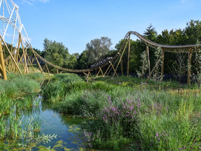 Hyperia 3 Months After Opening