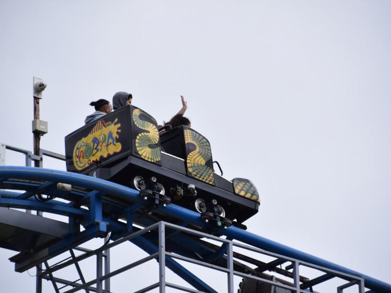 Is Cobra Leaving Paultons Park for the 2026 Viking Themed Area?