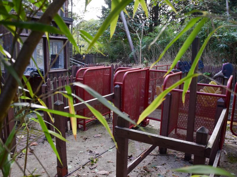 Slammer At Thorpe Park Taken Over By Nature