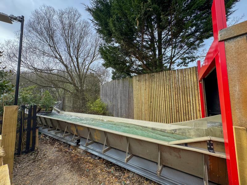 Tiger Rock Tunnel Partly Removed at Chessington for 2025 Season