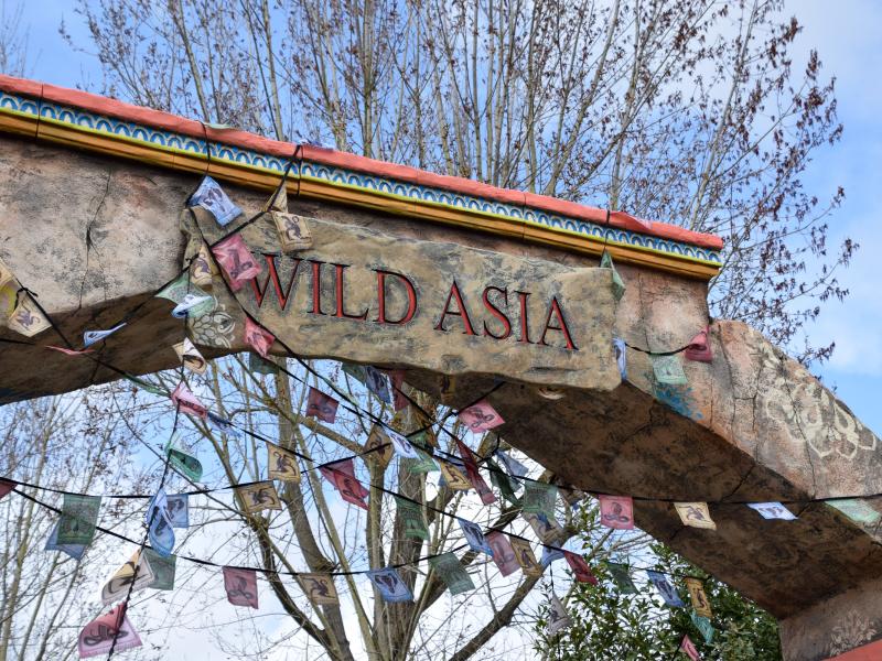 Chessington World of Adventures Wild Asia Closed for 2025