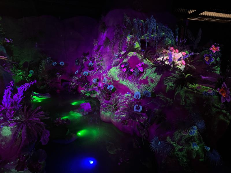 Zufari at Chessington Reopens in 2025 After Closure