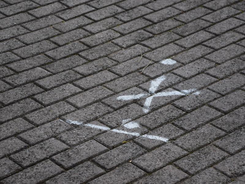 Mysterious Markings and Project Horizon Whats Brewing at The Dungeons