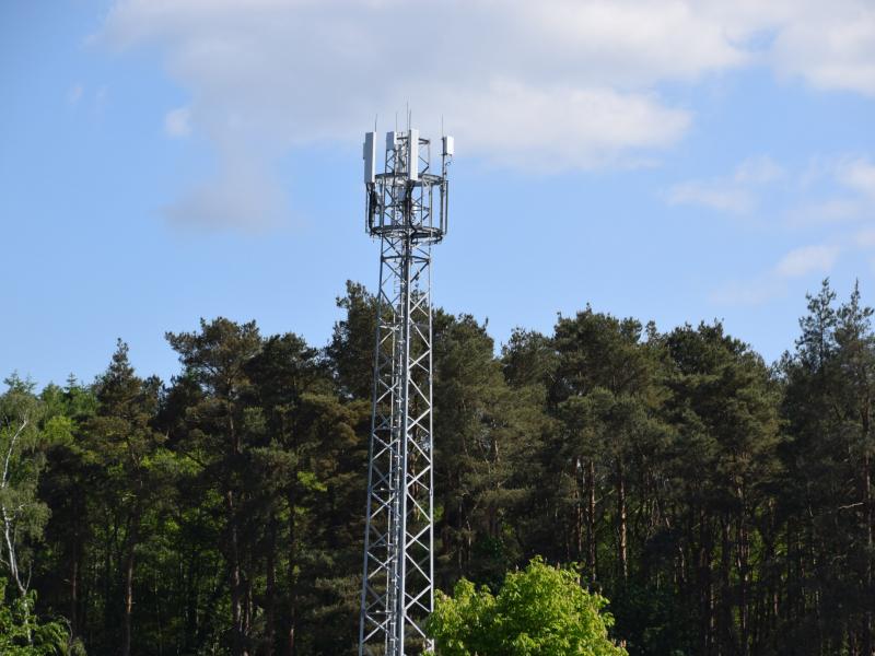 Great News for Mobile Signal at Paultons Park