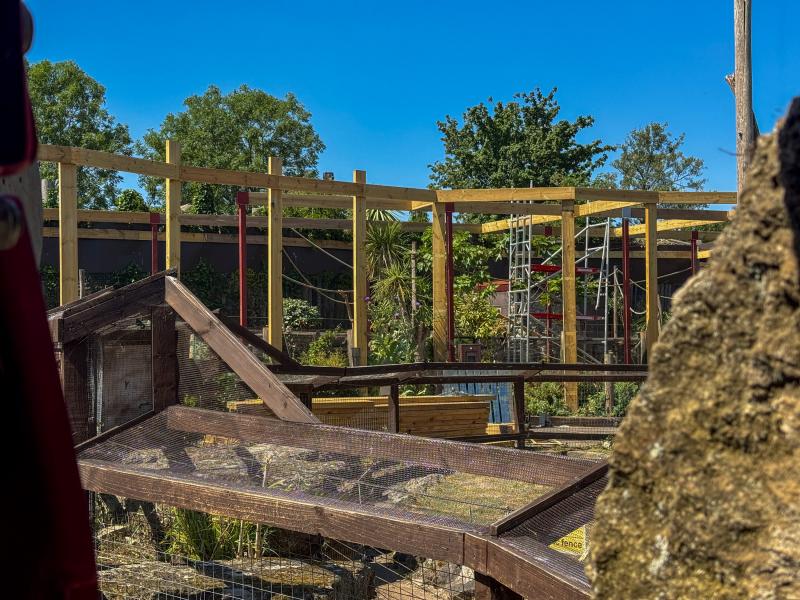 Chessington Amazu Walkthrough Gets a Major Upgrade