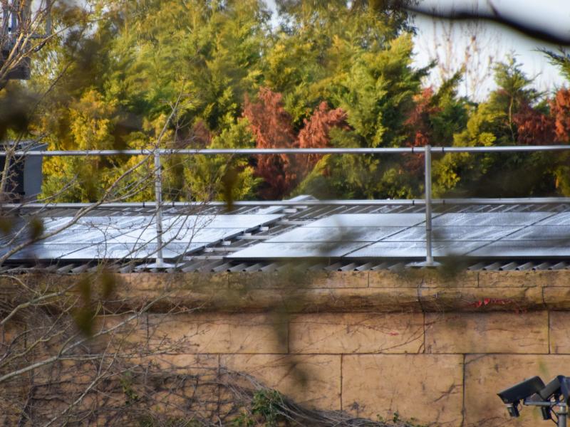 Chessington 2025 Closed Season Progress Report