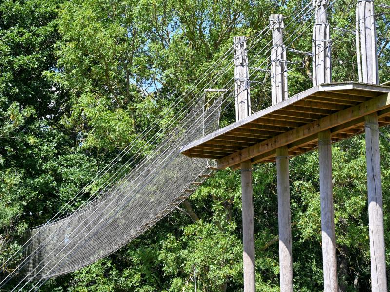 Go Ape Removal Begins at Chessington World of Adventures