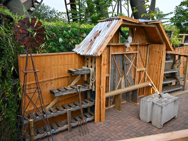 Thorpe Park Fright Nights 2026 Update: Tenement, The Crows & Stitches