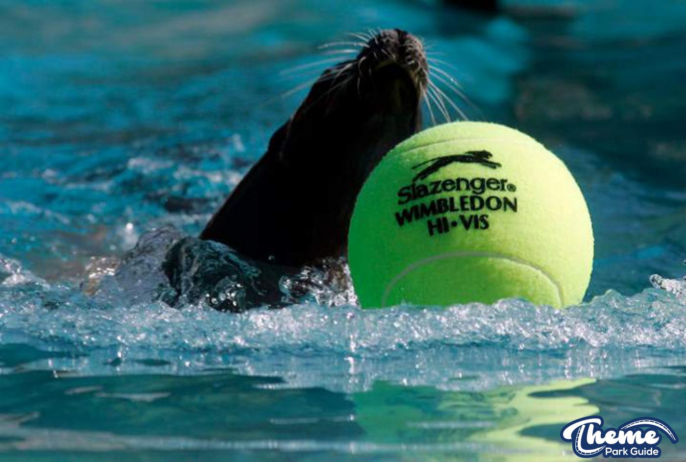 Chessington does Wimbledon