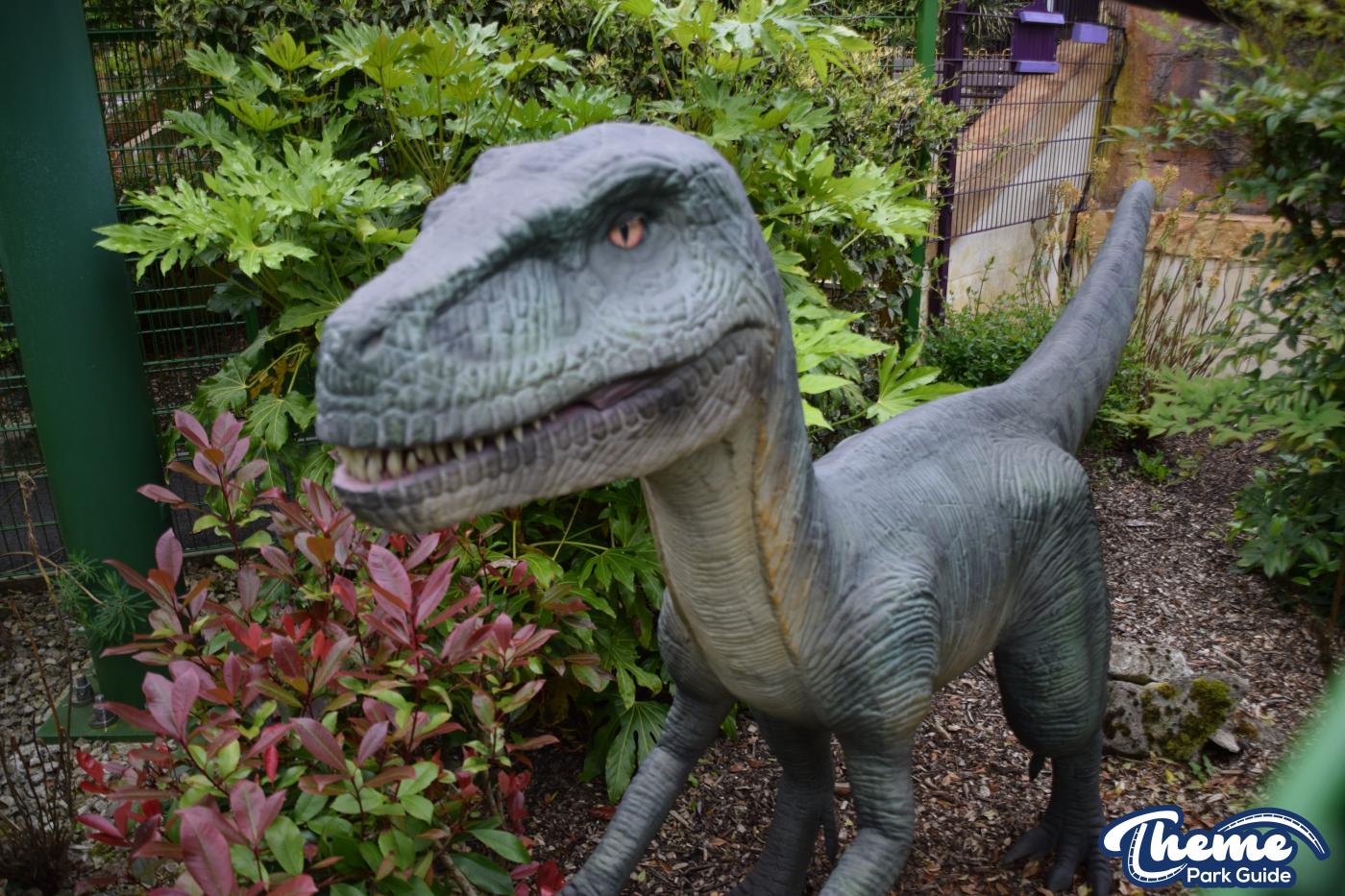 Velociraptor - Lost Kingdom