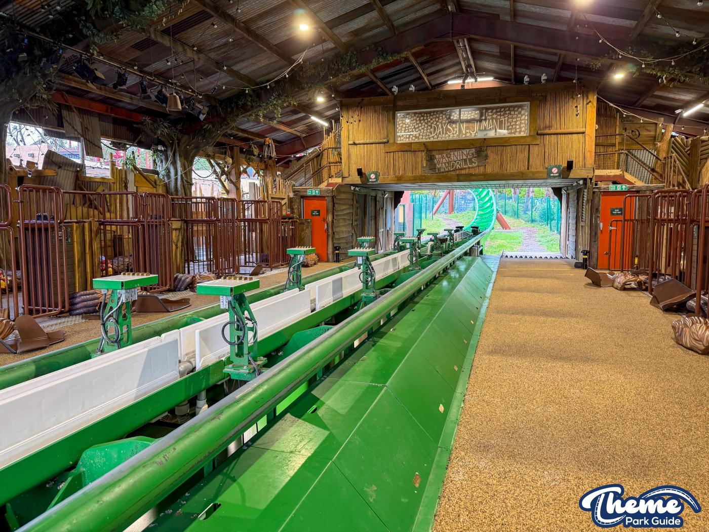 Mandrill Mayhem Workshop -