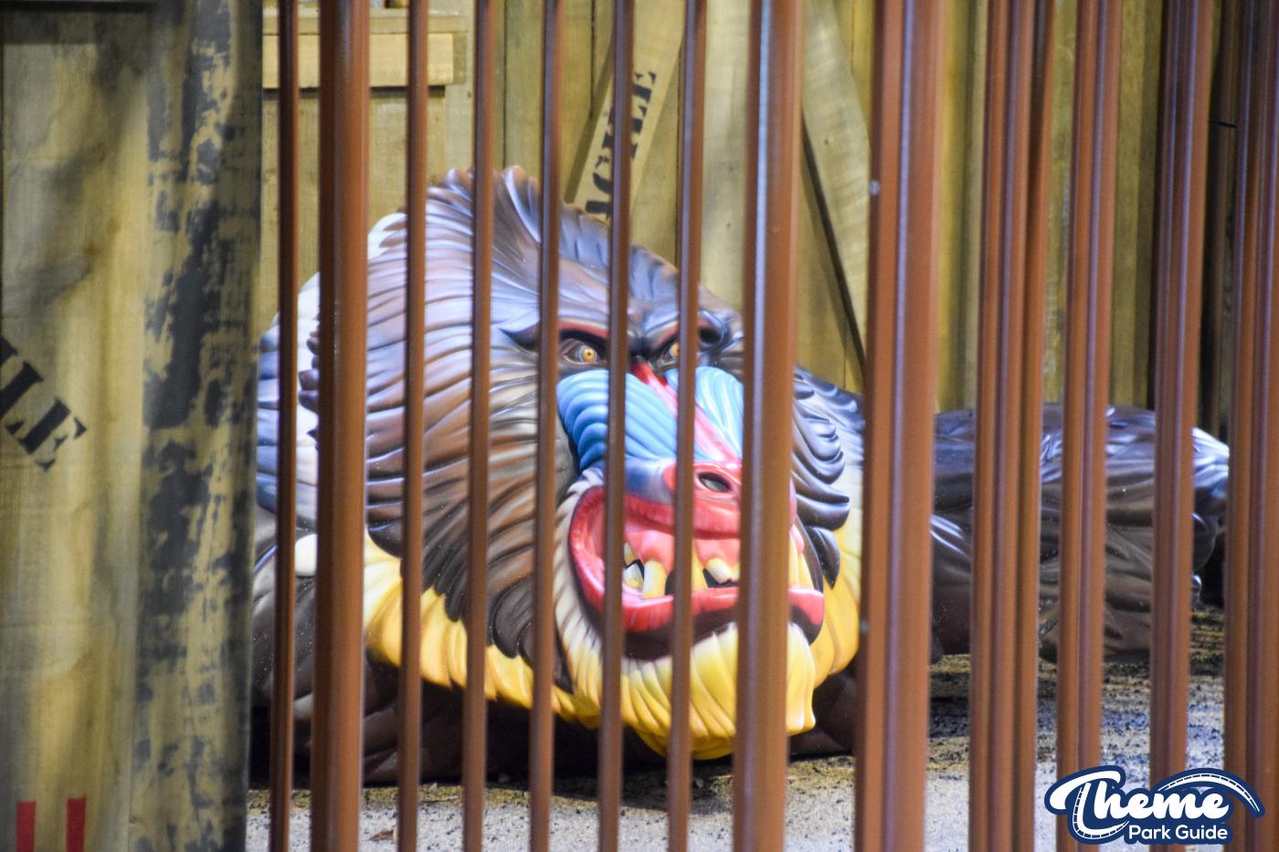 Mandrill Mayhem Workshop -